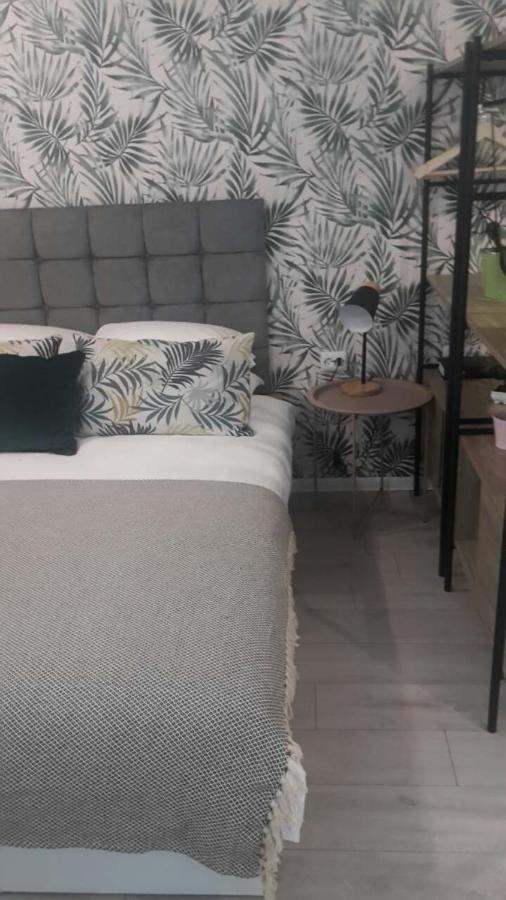 The Cozy Studio, Varna City Centre Extérieur photo